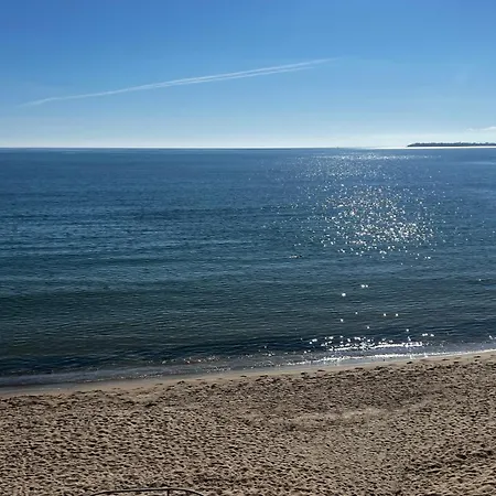 Premier Ar سفيتي فلاس